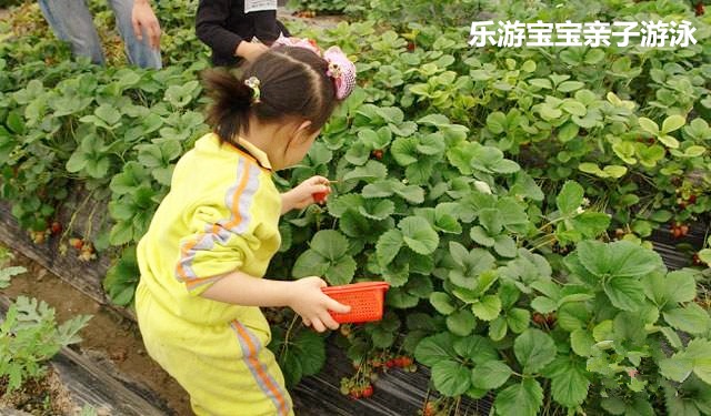 寶寶游泳,親子游泳,嬰兒游泳,樂游寶寶親子游泳,小孩兒游泳